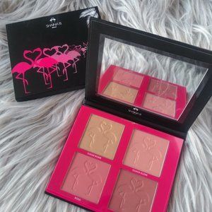 Blush and Highlighter